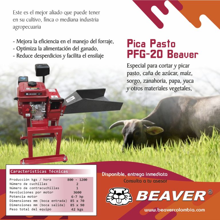 PFG-20 PicaPasto 3